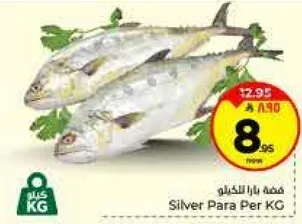 سمكه بارا للكيلو