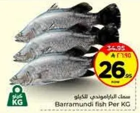 سمك الباراموندي للكيلو