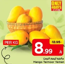 مانجو تيمور اليمن