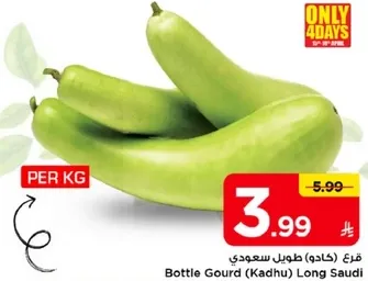 قرع (كادهو) طول سعودي