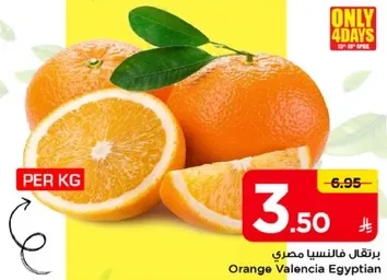 برتقال فالنيسيا مصري