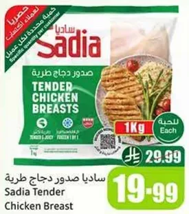 ساديا صدور دجاج طريه