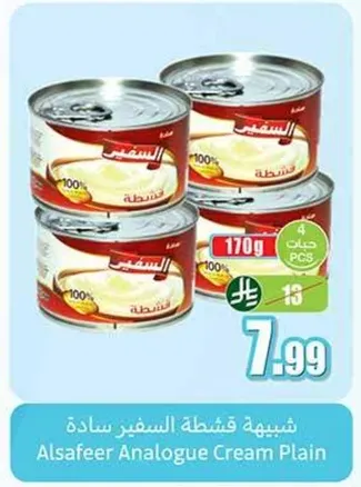 كريمه السفير العاديه