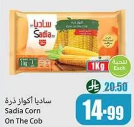 ساديـا اكواز ذره