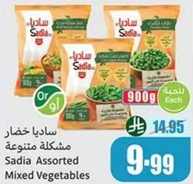 ساديه خضار مشكله متنوعه