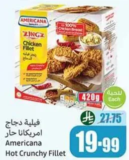 فيليه دجاج امريكانا حار