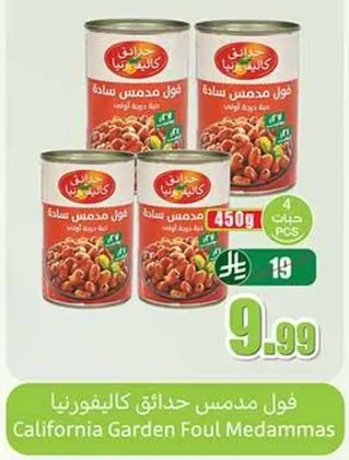 فول مدمس حدايق كاليفورنيا