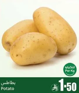 بطاطس