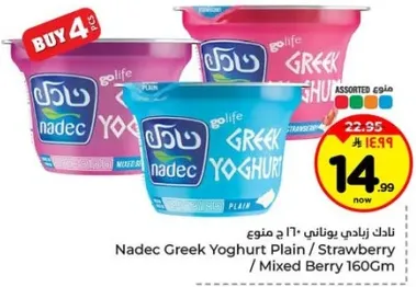نادك زبادي يوناني ١٦٠ غرام - عادي / فراوله / مختلط التوت