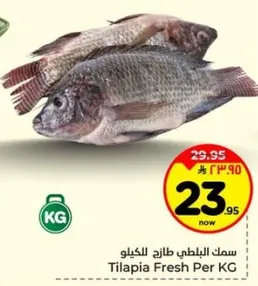 سمك البلطي طازج بالكيلو