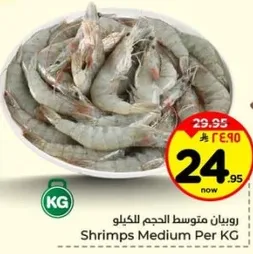 روبيان متوسط الحجم لكل كيلو