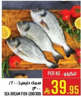 Sea Bream Fish (200/300)
