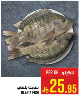Tilapia fish