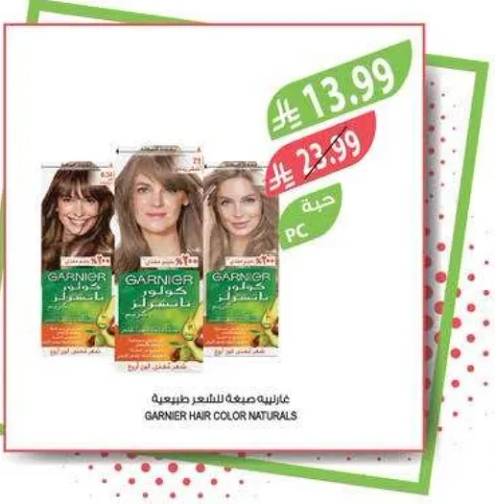 صبغه شعر غارنييه الطبيعيه