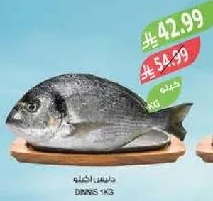 سمك دنيس، 1 كجم.