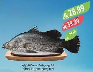 Qarous fish (1800-3000) 1KG