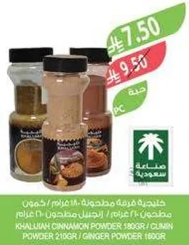 مجموعه من التوابل المطحونه بما في ذلك مسحوق القرفه والزنجبيل.