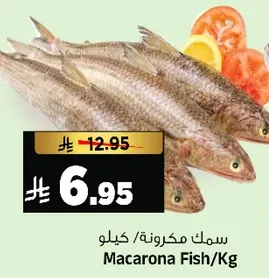 سمك مكرونه/كيلو