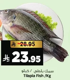 سمك بلطي / كيلو