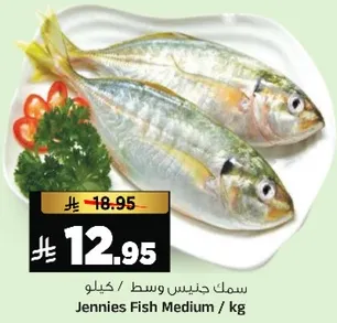 سمك جنيس وسط / كيلو