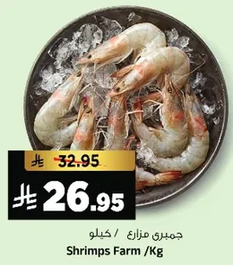 جمبري مزارع / كيلو