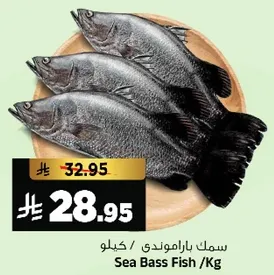 سمك باراموندي / كيلو