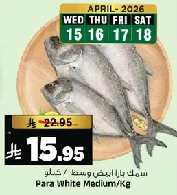 سمك بارا ابيض وسط / كيلو