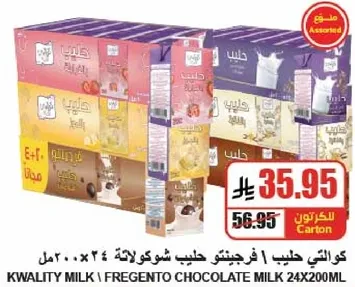 كوالتي حليب | فريجنتو حليب شوكولاته 24×200مل