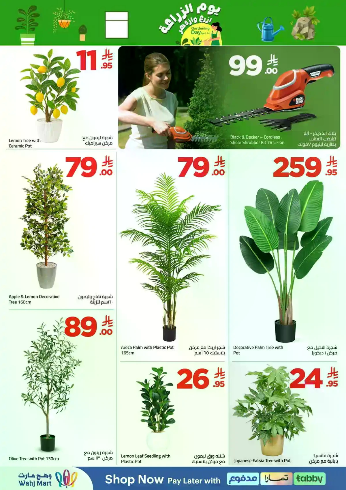 يوم الزراعة - صفحة 2