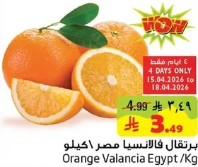 برتقال فالنسيا مصر