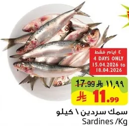 Sardines / Kg