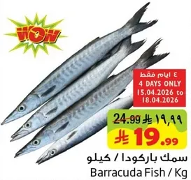 سمك باركودا / كيلو
