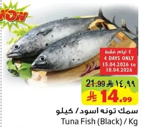 Tuna Fish (Black) / Kg