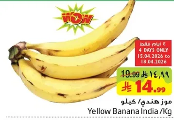 موز هندي / كيلو
