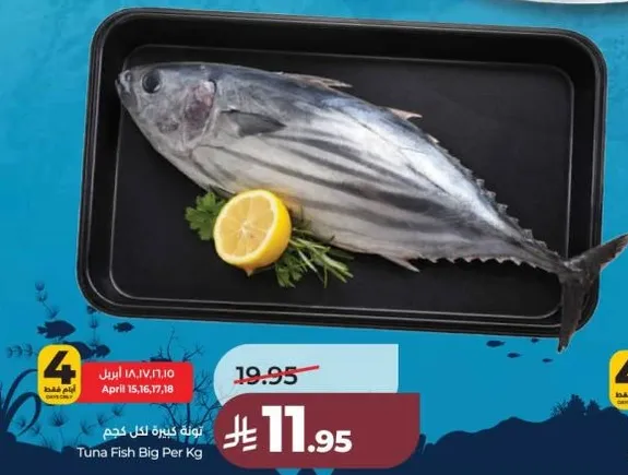 Tuna Fish Big Per Kg