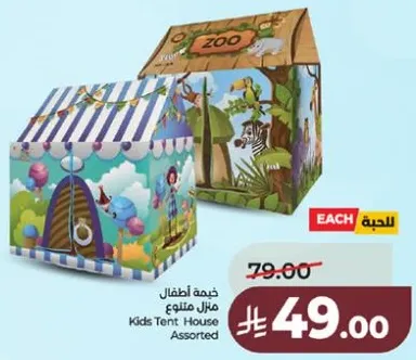 Kids Tent House Assorted