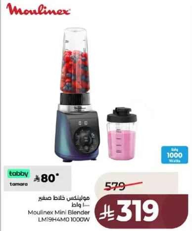 خلاط صغير مولينكس LM19H4M0 1000 واط