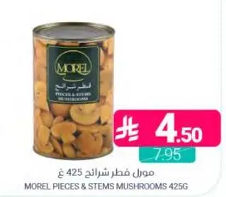 مرال فطر شرايح 425 غ