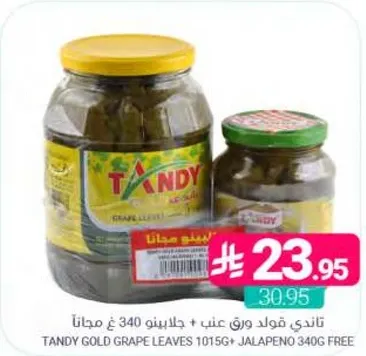 تاندي فلد ورق عنب + هالابينو 340 غ مجانا
