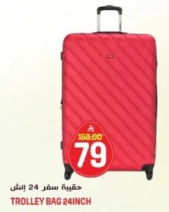 24-inch trolley bag