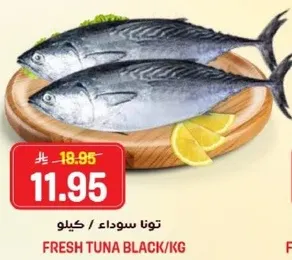 تونا سوداء / كيلو