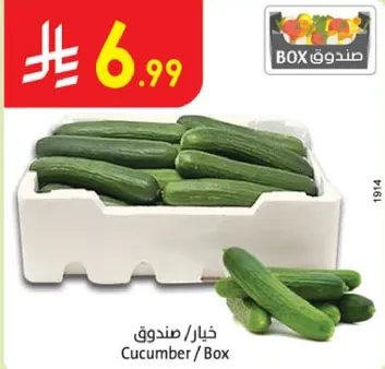 خيار / صندوق