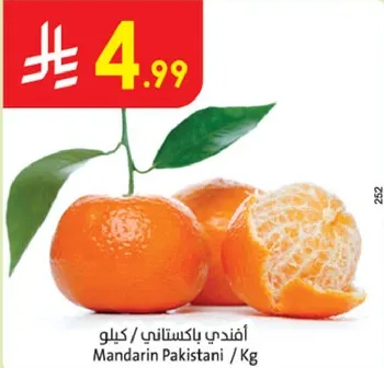 افندي باكستاني / كيلو