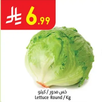 خس مدور / كيلو