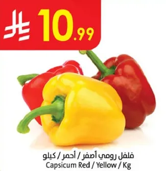 فلفل رومي اصفر / احمر / كيلو