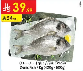سمك دنيس / كيلو (400 جرام - 600 جرام)