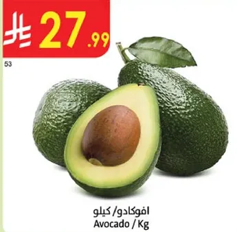 افوكادو / كيلو