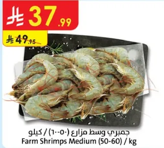 جمبري وسط مزارع (50-60) / كيلو