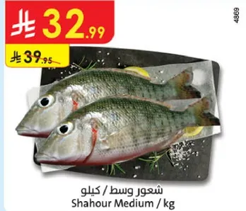 شعور وسط / كيلو