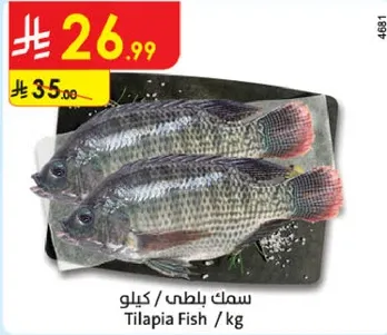 سمك بلطي / كيلو